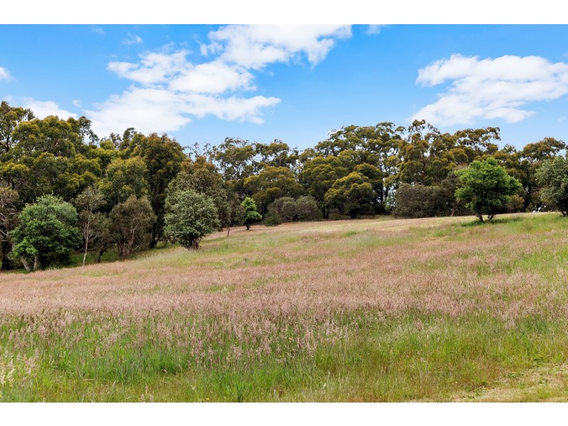 110 Nicholls Road, Scott Creek SA 5153