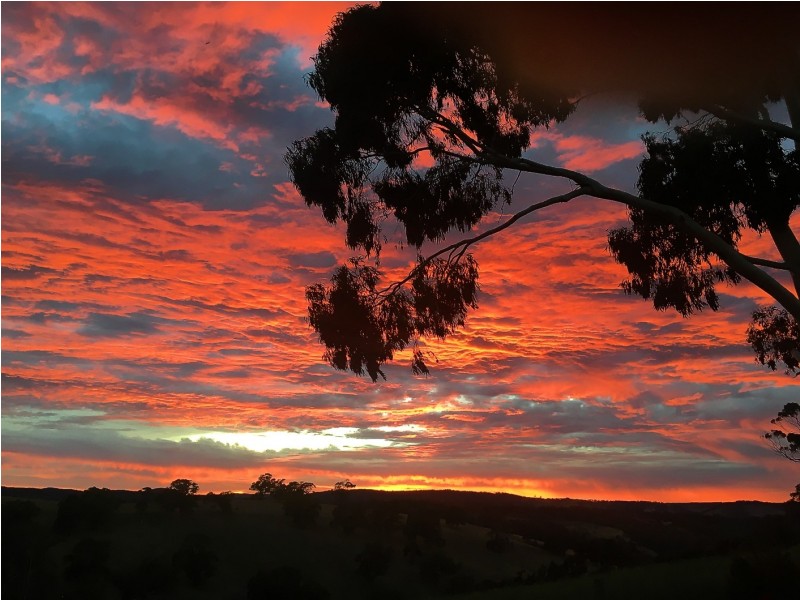 169 Angel Gully Road, Clarendon SA 5157