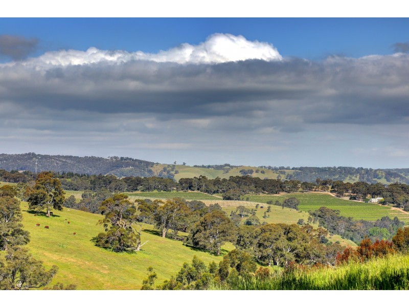 169 Angel Gully Road, Clarendon SA 5157