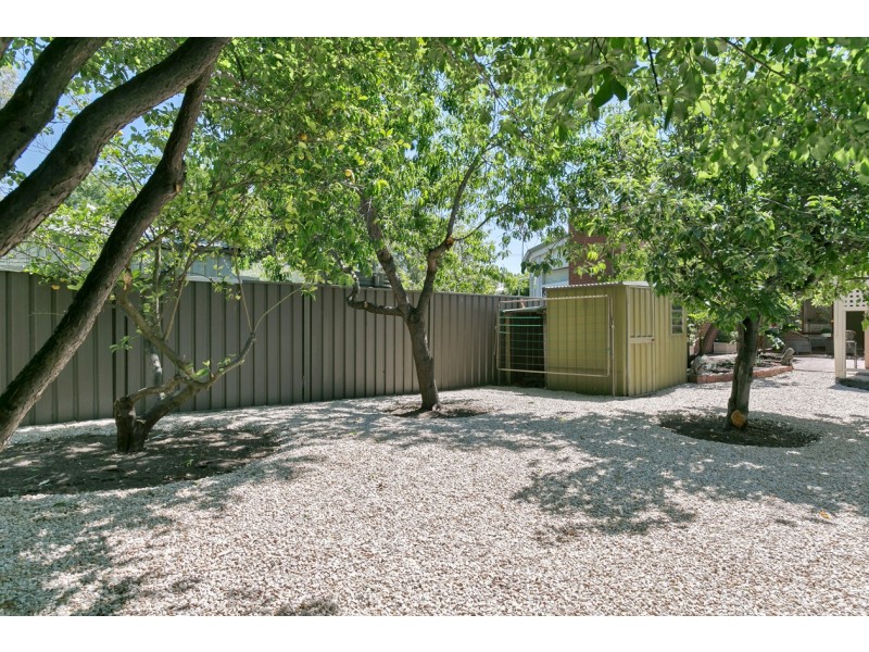 46 Essex Street South, Goodwood SA 5034