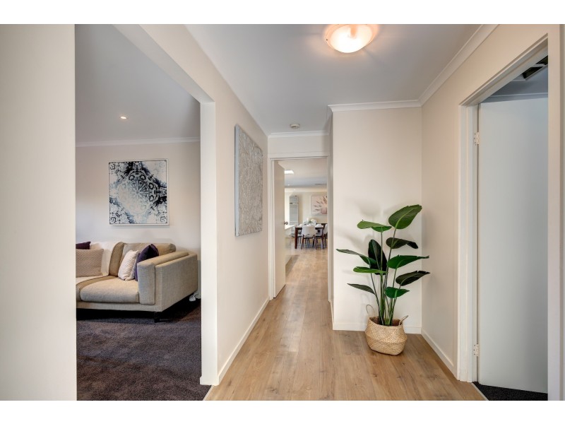 6 Crowsnest Court, Coromandel Valley SA 5051