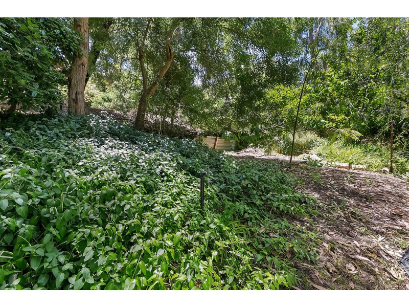 8 Orvieto Street, Bridgewater SA 5155