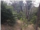 99 Upper Sturt Road, Upper Sturt SA 5156