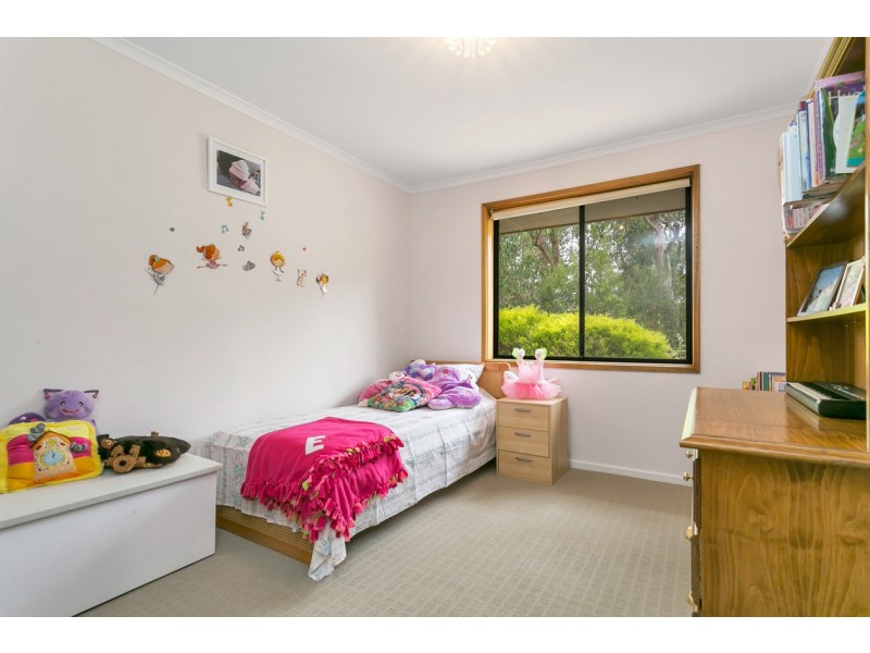 8 Elmstead Drive, Upper Sturt SA 5156