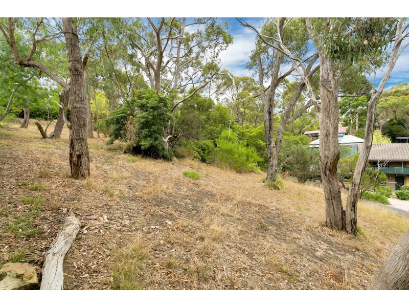 20 Ophir Avenue, Bridgewater SA 5155