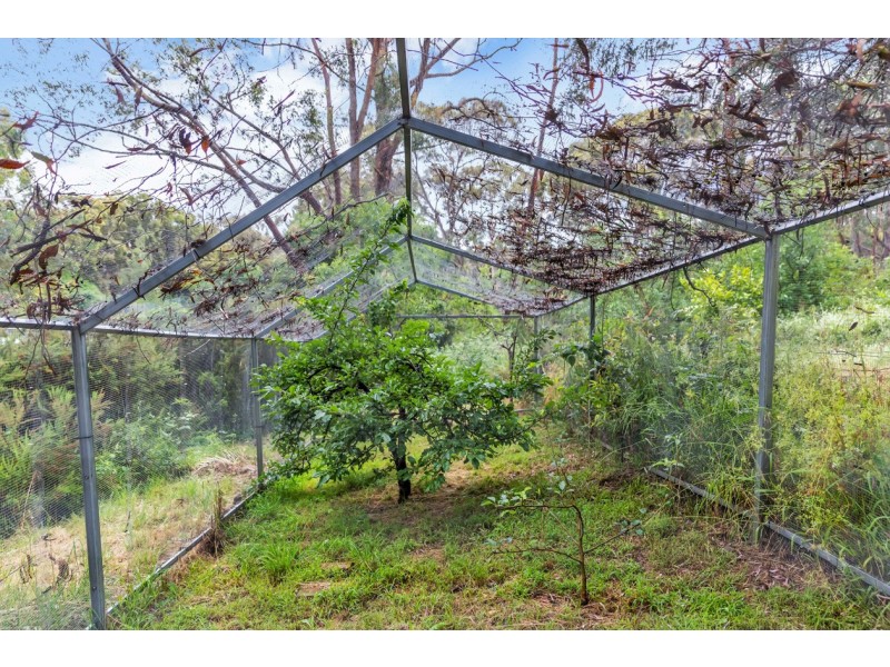 81 Onkaparinga Road, Bridgewater SA 5155