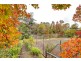 3 White Avenue, Crafers SA 5152
