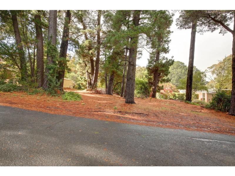 3 White Avenue, Crafers SA 5152