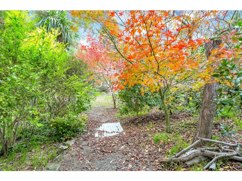 249 Strathalbyn Road, Bridgewater SA 5155