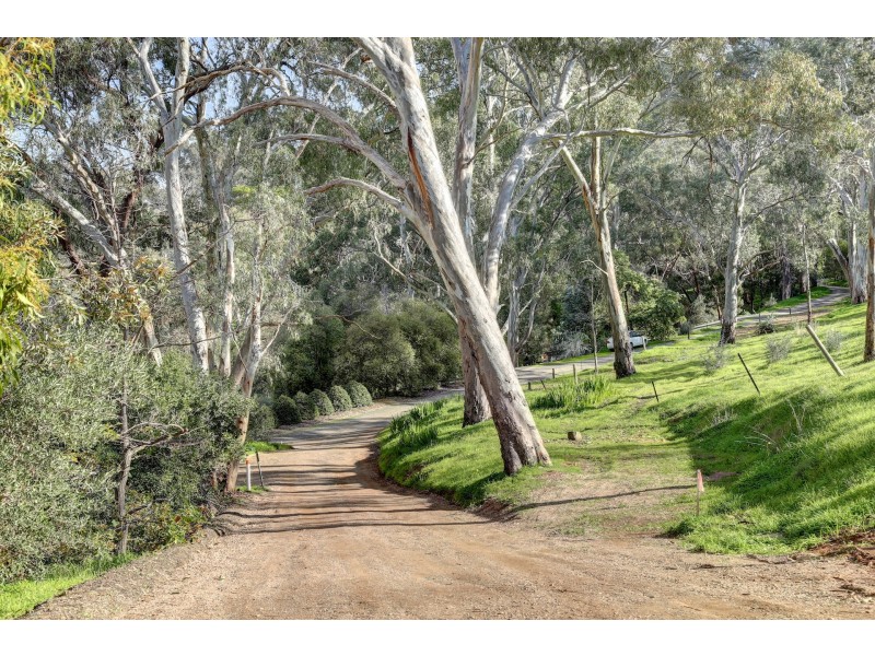 225 Coromandel Parade, Coromandel Valley SA 5051