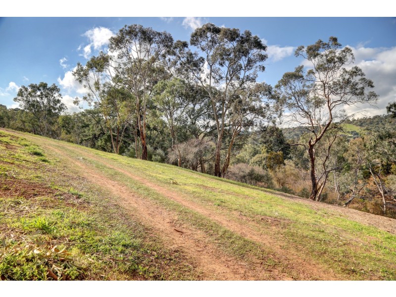 225 Coromandel Parade, Coromandel Valley SA 5051
