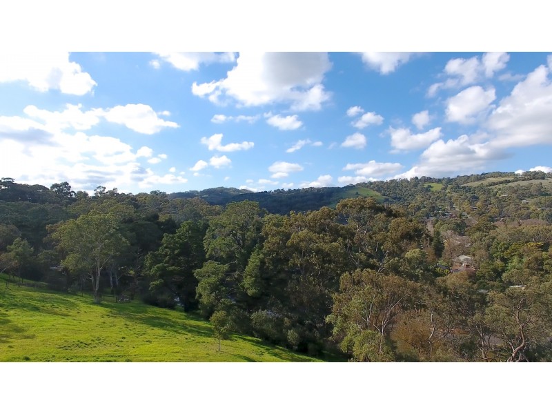 225 Coromandel Parade, Coromandel Valley SA 5051