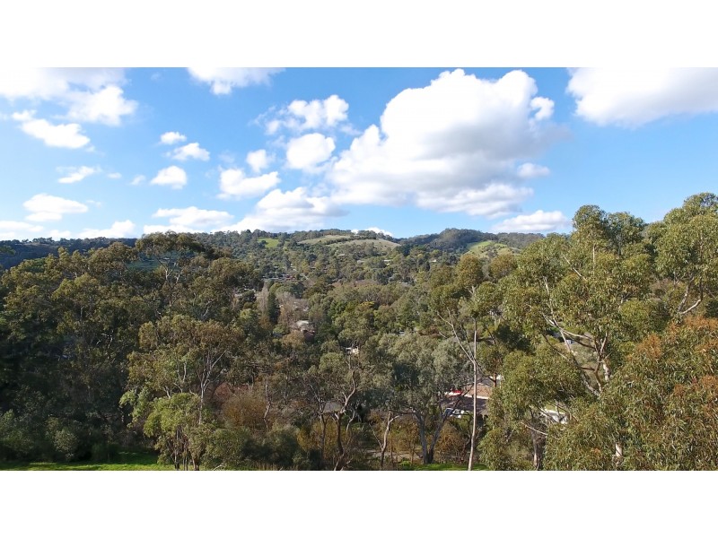 225 Coromandel Parade, Coromandel Valley SA 5051