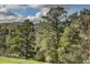225 Coromandel Parade, Coromandel Valley SA 5051
