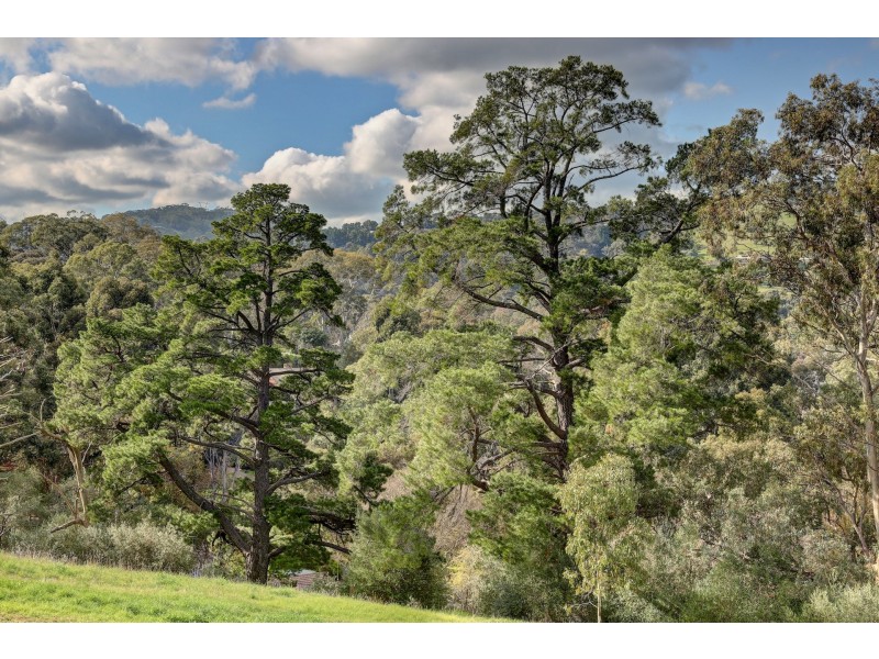 225 Coromandel Parade, Coromandel Valley SA 5051