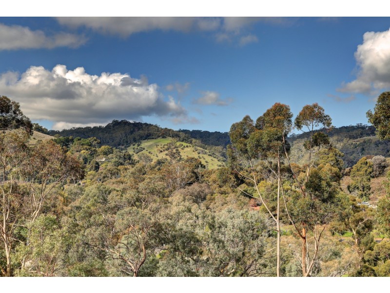 225 Coromandel Parade, Coromandel Valley SA 5051