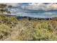 225 Coromandel Parade, Coromandel Valley SA 5051
