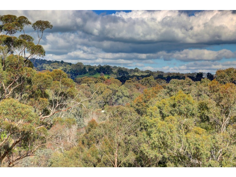 225 Coromandel Parade, Coromandel Valley SA 5051