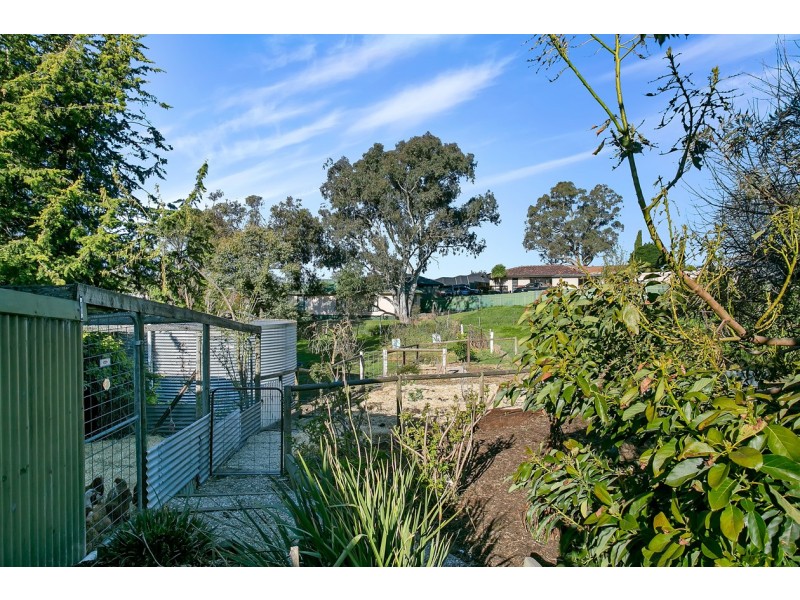 7 Burns Street, Nairne SA 5252