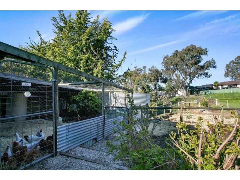 7 Burns Street, Nairne SA 5252
