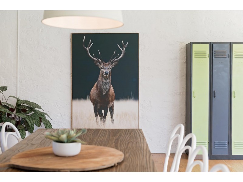 26 Woolcock Road, Longwood SA 5153