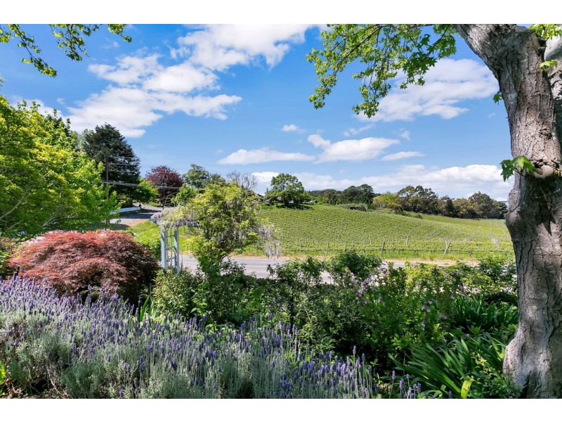 95 Woods Hill Road, Summertown SA 5141