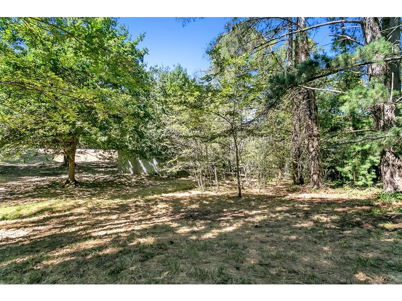 24 Pine Street, Stirling SA 5152