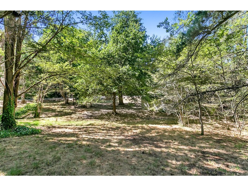 24 Pine Street, Stirling SA 5152