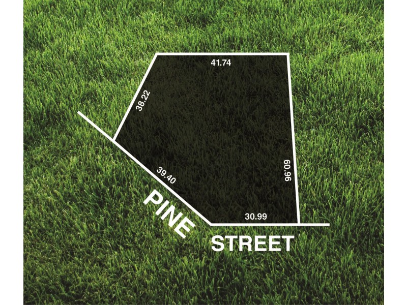 24 Pine Street, Stirling SA 5152