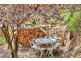 38 Princes Avenue, Crafers West SA 5152