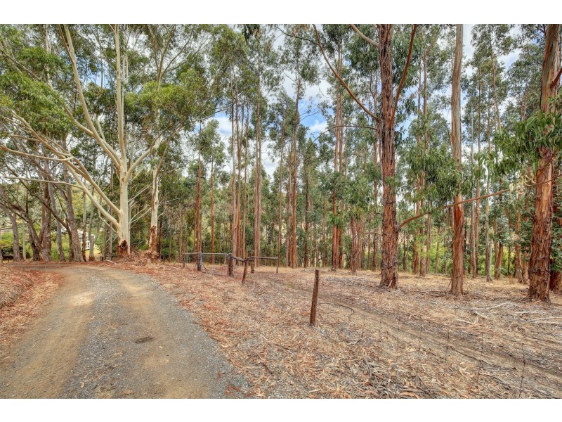 565 Scott Creek Road, Scott Creek SA 5153