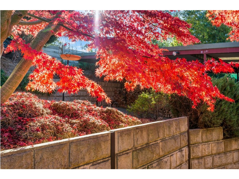 46 Beadnell Crescent, Bridgewater SA 5155