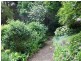 12 Dell Road, Stirling SA 5152