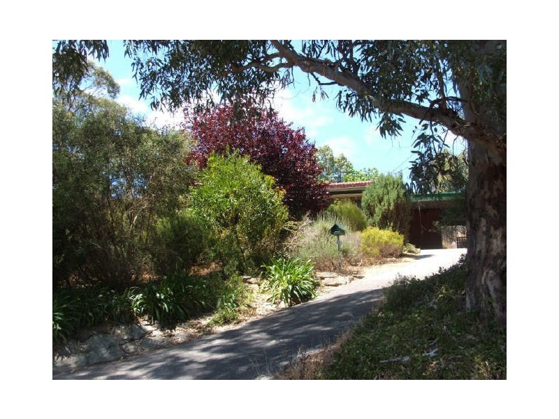 11 Rowlands Hill Road,, Coromandel Valley SA 5051