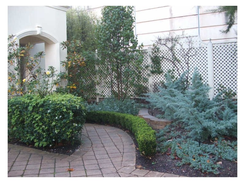 7 Olive Close, Glenside SA 5065