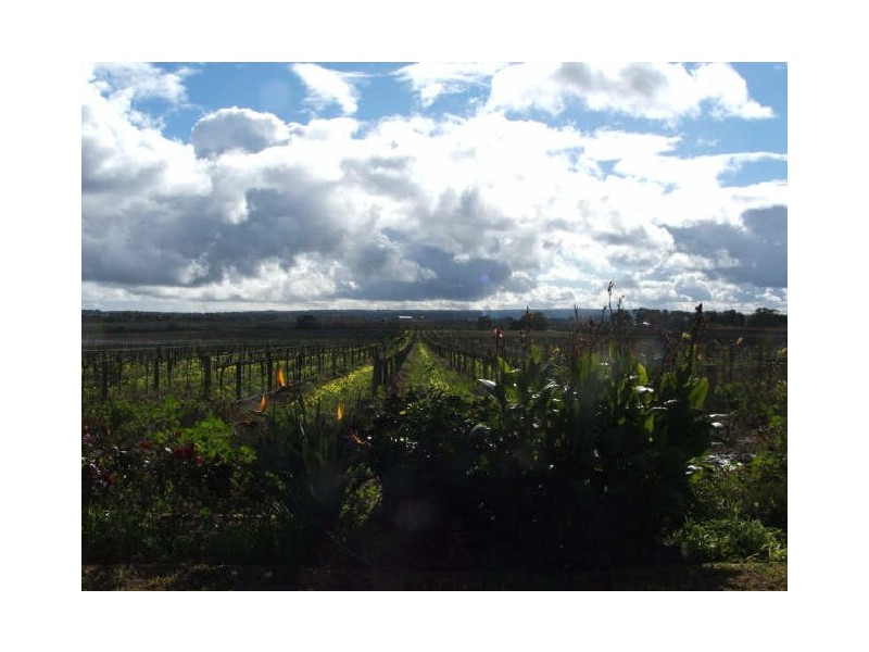 Lot/118 Binney Road, Willunga SA 5172