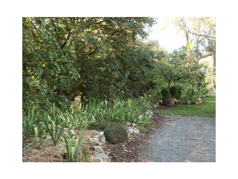 34 Braeside Road, Stirling SA 5152