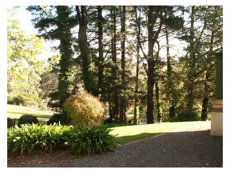 21 Pine, Stirling SA 5152