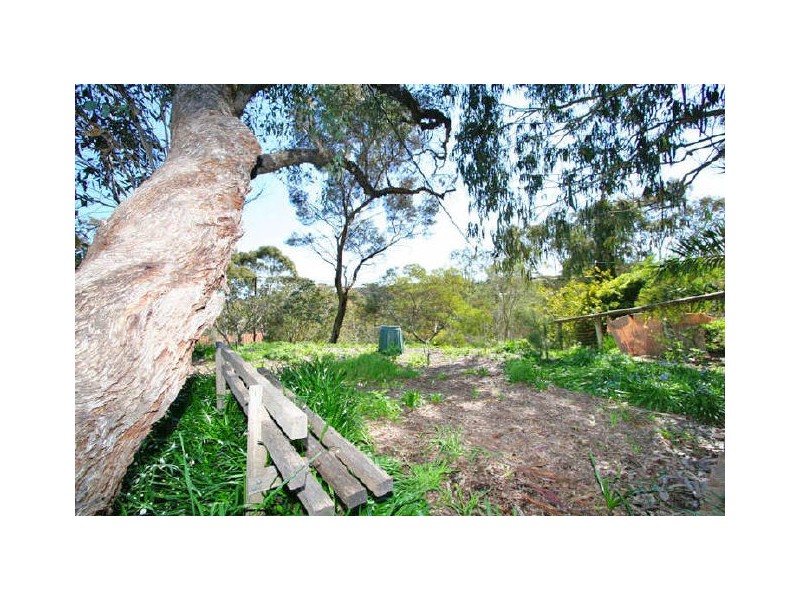 13 Banksia Crescent, Belair SA 5052