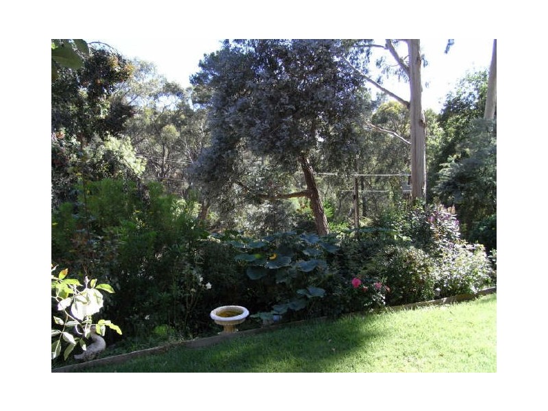 16 Mountford Avenue, Bridgewater SA 5155