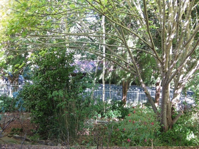31 Merrion Terrace, Stirling SA 5152