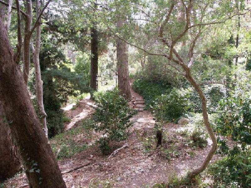 43 Sturt Valley Road, Stirling SA 5152