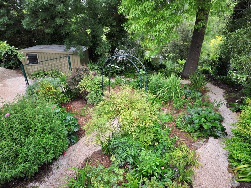 3 Montrose Avenue, Stirling SA 5152