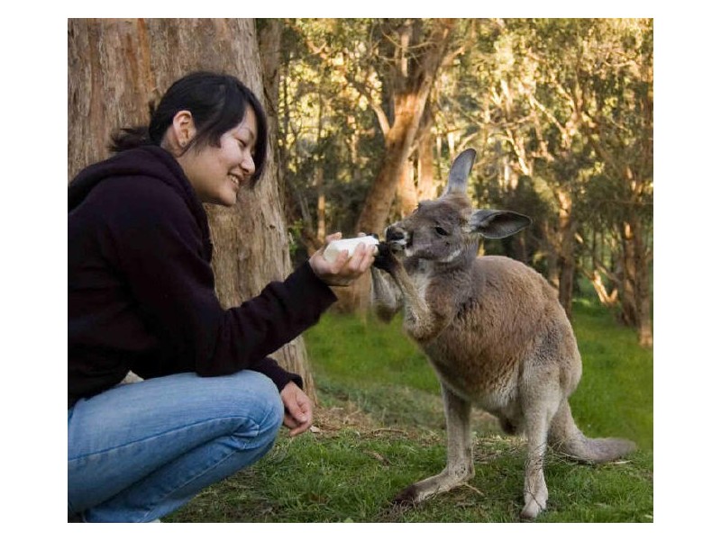 Lot 50 Whitehead Road, Mylor SA 5153