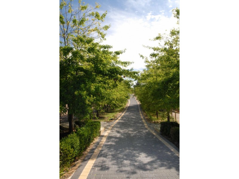 20 Cichon Road, Bridgewater SA 5155