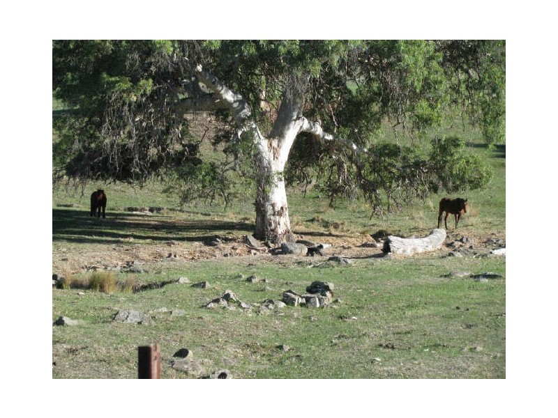 Lot 560 Vale Road, Wistow SA 5251