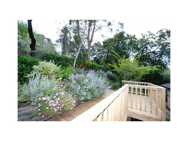14 Longwood Rd, Stirling SA 5152