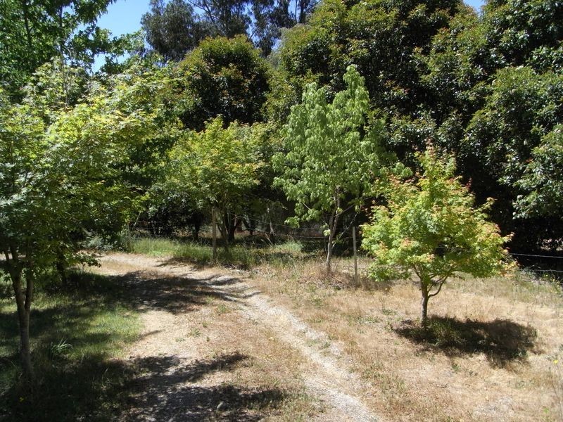 74 Cave Avenue, Bridgewater SA 5155