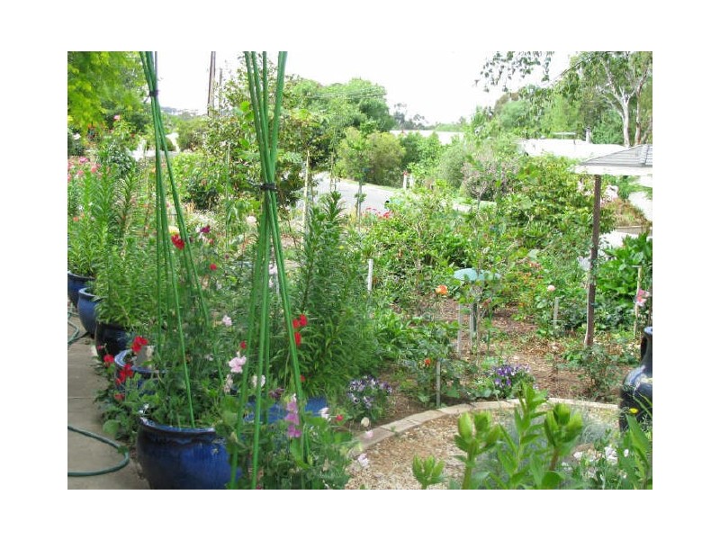 9 Kaesler Avenue, Hahndorf SA 5245