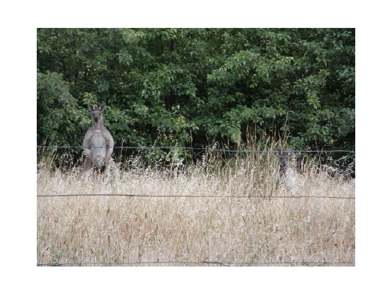 Lot 13 Ridge Road, Bradbury SA 5153